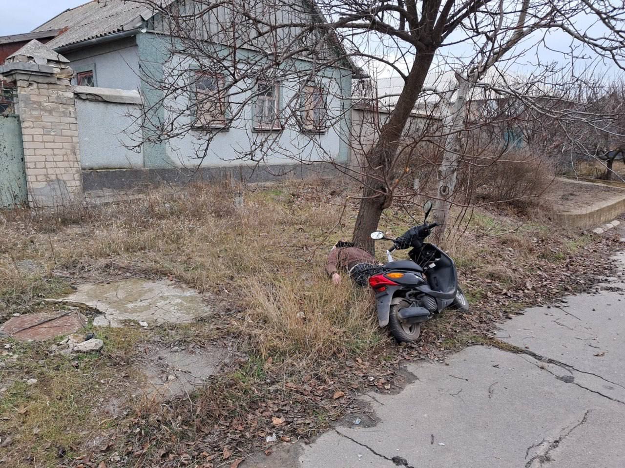 A scooter parked in the grass next to a tree

Description automatically generated