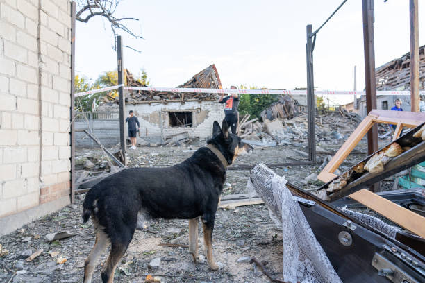 a statue of a man in front of a damaged building