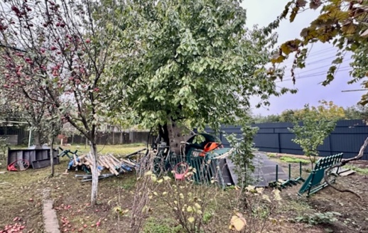 A playground with a tree and a playground slide

Description automatically generated with medium confidence