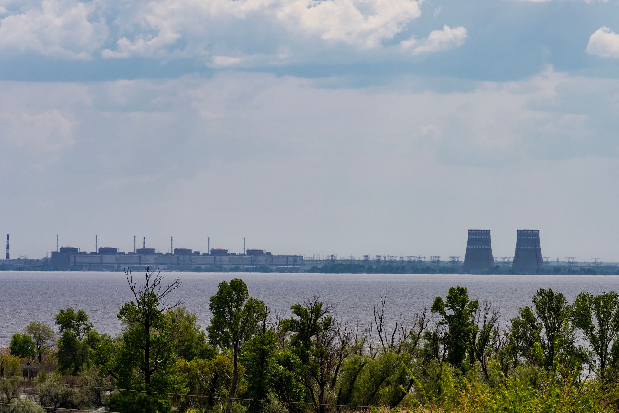 A large body of water with trees and a factory in the background

AI-generated content may be incorrect.