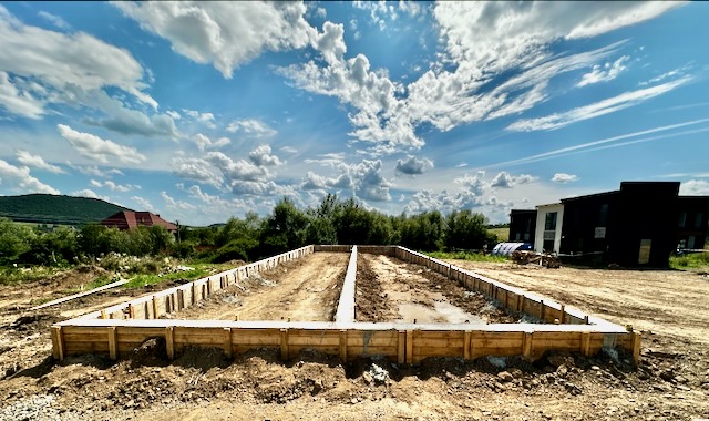 A construction site with a house and trees

AI-generated content may be incorrect.