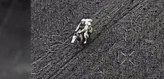 Russian Soldiers on Horseback Attempted Cavalry Assault on Ukrainian Positions (VIDEO)