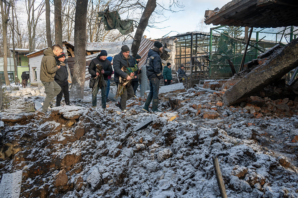 A group of people standing in a pile of rubble

AI-generated content may be incorrect.